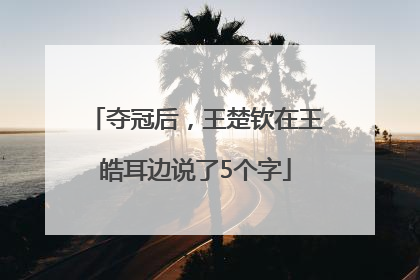 夺冠后，王楚钦在王皓耳边说了5个字