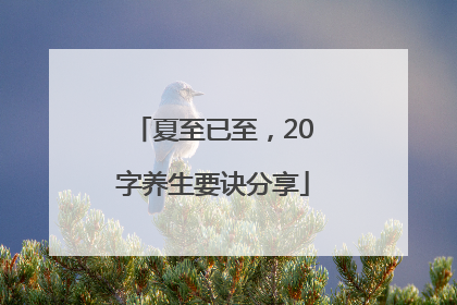 夏至已至，20字养生要诀分享
