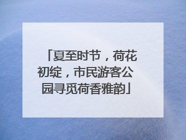 夏至时节，荷花初绽，市民游客公园寻觅荷香雅韵