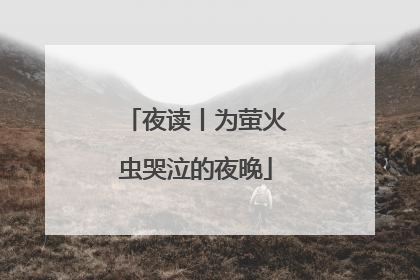 夜读丨为萤火虫哭泣的夜晚