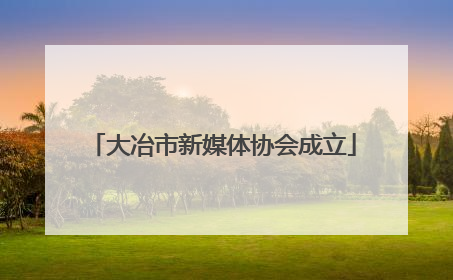 大冶市新媒体协会成立