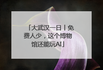 大武汉一日丨免费人少，这个博物馆还能玩AI
