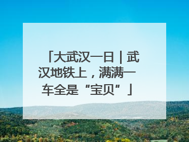 大武汉一日｜武汉地铁上，满满一车全是“宝贝”