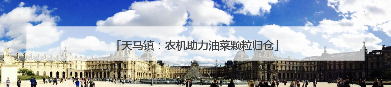天马镇：农机助力油菜颗粒归仓