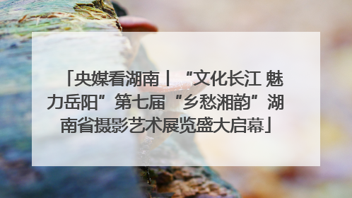 央媒看湖南丨“文化长江 魅力岳阳”第七届“乡愁湘韵”湖南省摄影艺术展览盛大启幕