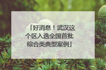 好消息！武汉这个区入选全国首批综合类典型案例