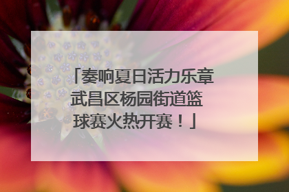 奏响夏日活力乐章 武昌区杨园街道篮球赛火热开赛！