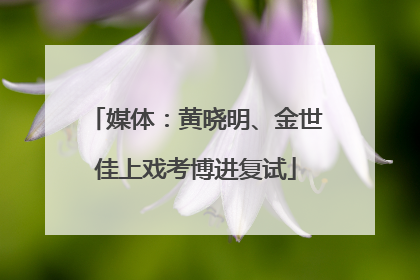 媒体：黄晓明、金世佳上戏考博进复试