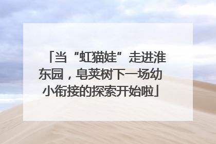 当“虹猫娃”走进淮东园，皂荚树下一场幼小衔接的探索开始啦