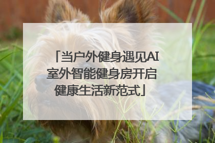 当户外健身遇见AI 室外智能健身房开启健康生活新范式
