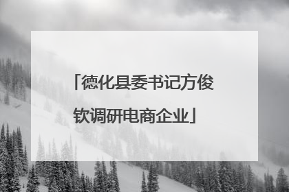 德化县委书记方俊钦调研电商企业