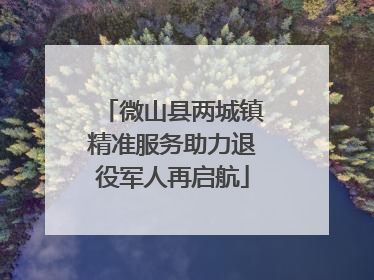 微山县两城镇精准服务助力退役军人再启航