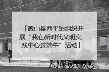 微山县西平镇组织开展“我在新时代文明实践中心过端午”活动