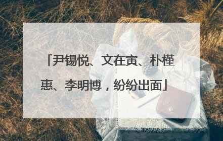 尹锡悦、文在寅、朴槿惠、李明博，纷纷出面