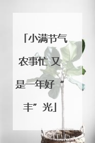 小满节气农事忙 又是一年好“丰”光