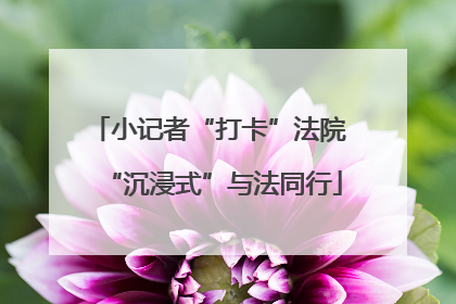 小记者“打卡”法院 “沉浸式”与法同行