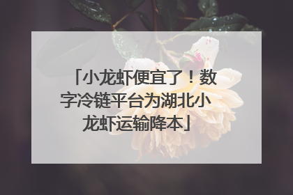 小龙虾便宜了！数字冷链平台为湖北小龙虾运输降本