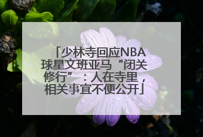 少林寺回应NBA球星文班亚马“闭关修行”：人在寺里，相关事宜不便公开