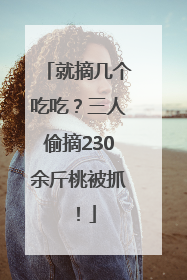 就摘几个吃吃？三人偷摘230余斤桃被抓！