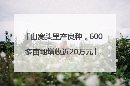 山窝头里产良种，600多亩地增收近20万元
