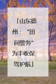 山东德州：“田间警务”为丰收保驾护航