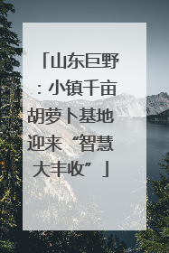 山东巨野：小镇千亩胡萝卜基地迎来“智慧大丰收”
