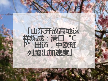 山东开放高地这样炼成：港口“CP”出道，中欧班列跑出加速度