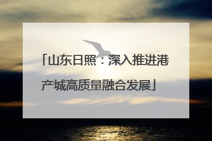 山东日照：深入推进港产城高质量融合发展