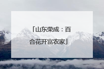 山东荣成：百合花开富农家