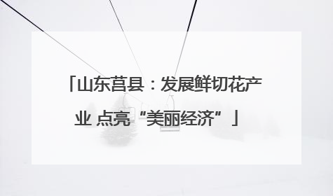山东莒县：发展鲜切花产业 点亮“美丽经济”