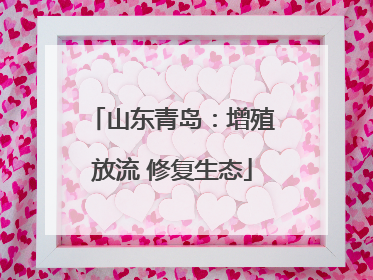 山东青岛：增殖放流 修复生态