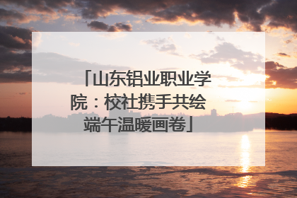 山东铝业职业学院：校社携手共绘端午温暖画卷