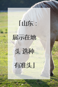 山东：展示在地头 选种有准头