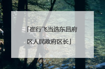 崔行飞当选东昌府区人民政府区长
