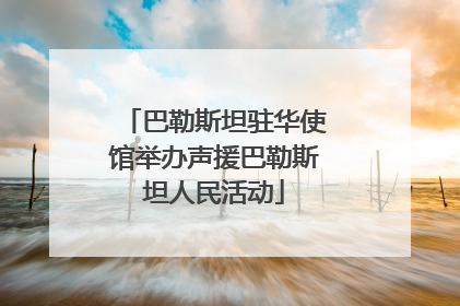 巴勒斯坦驻华使馆举办声援巴勒斯坦人民活动