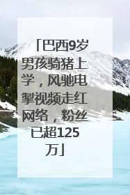 巴西9岁男孩骑猪上学，风驰电掣视频走红网络，粉丝已超125万