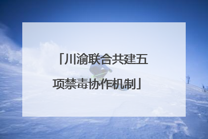 川渝联合共建五项禁毒协作机制