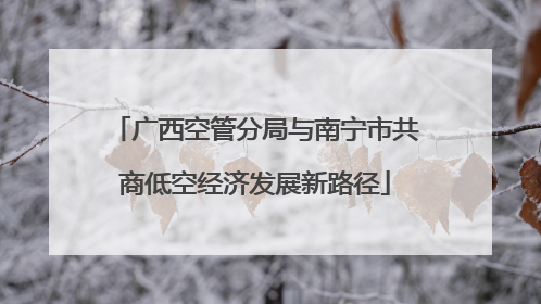 广西空管分局与南宁市共商低空经济发展新路径