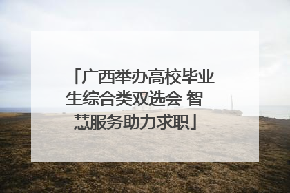 广西举办高校毕业生综合类双选会 智慧服务助力求职
