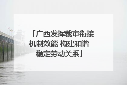 广西发挥裁审衔接机制效能 构建和谐稳定劳动关系