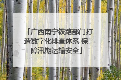 广西南宁铁路部门打造数字化排查体系 保障汛期运输安全