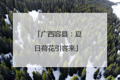 广西容县：夏日荷花引客来