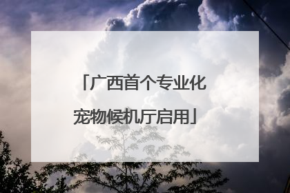 广西首个专业化宠物候机厅启用