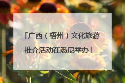 广西（梧州）文化旅游推介活动在悉尼举办