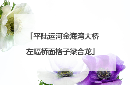 平陆运河金海湾大桥左幅桥面格子梁合龙