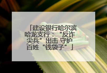 建设银行哈尔滨哈龙支行：“反诈尖兵”出击 守护百姓“钱袋子”
