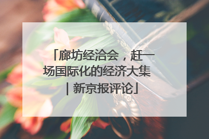廊坊经洽会，赶一场国际化的经济大集｜新京报评论