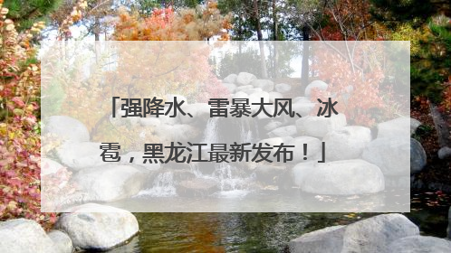 强降水、雷暴大风、冰雹，黑龙江最新发布！