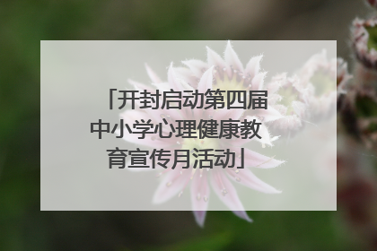 开封启动第四届中小学心理健康教育宣传月活动