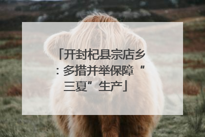 开封杞县宗店乡：多措并举保障“三夏”生产